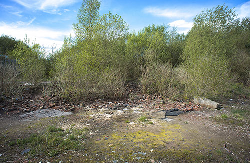 ScrubLand and Site Clearance North East Sunderland