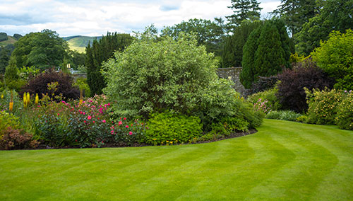 North East - Gardening & Landscaping Services